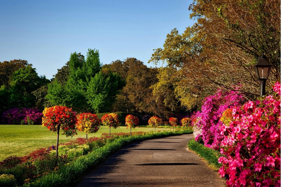 park-with-a-walkway-surrounded-by-trees-plants-and-flowers